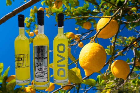Limoncello